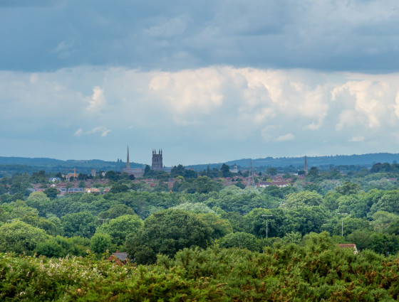 A view of Worcester from Kempsey Common