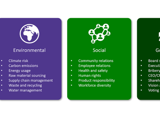 Environmental, Social and Governance image (ESG)