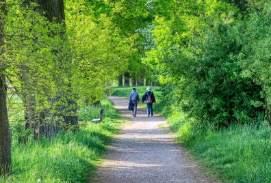 A couple waking down a country lane.